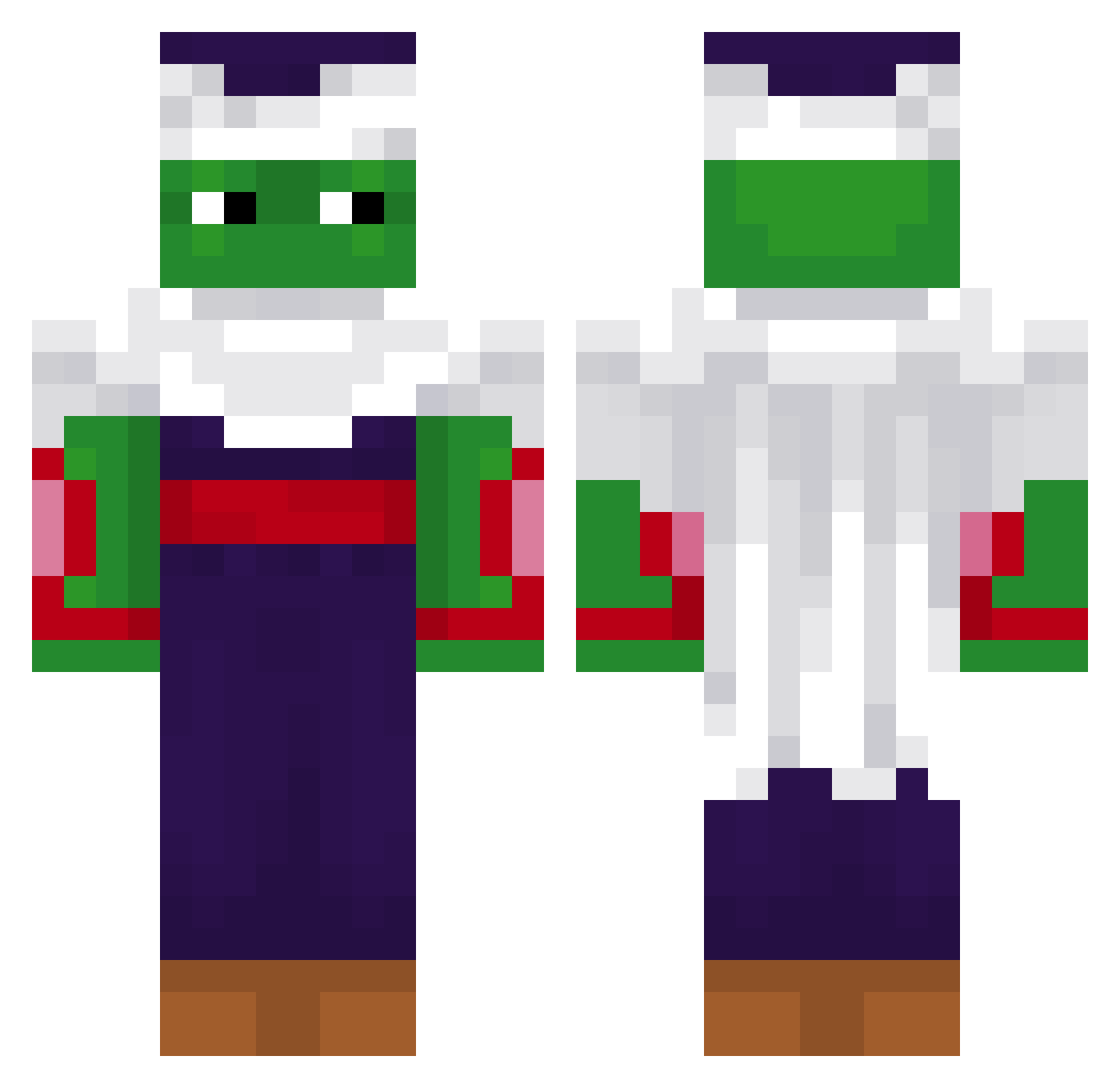 BotChungus Minecraft skin, front and back view