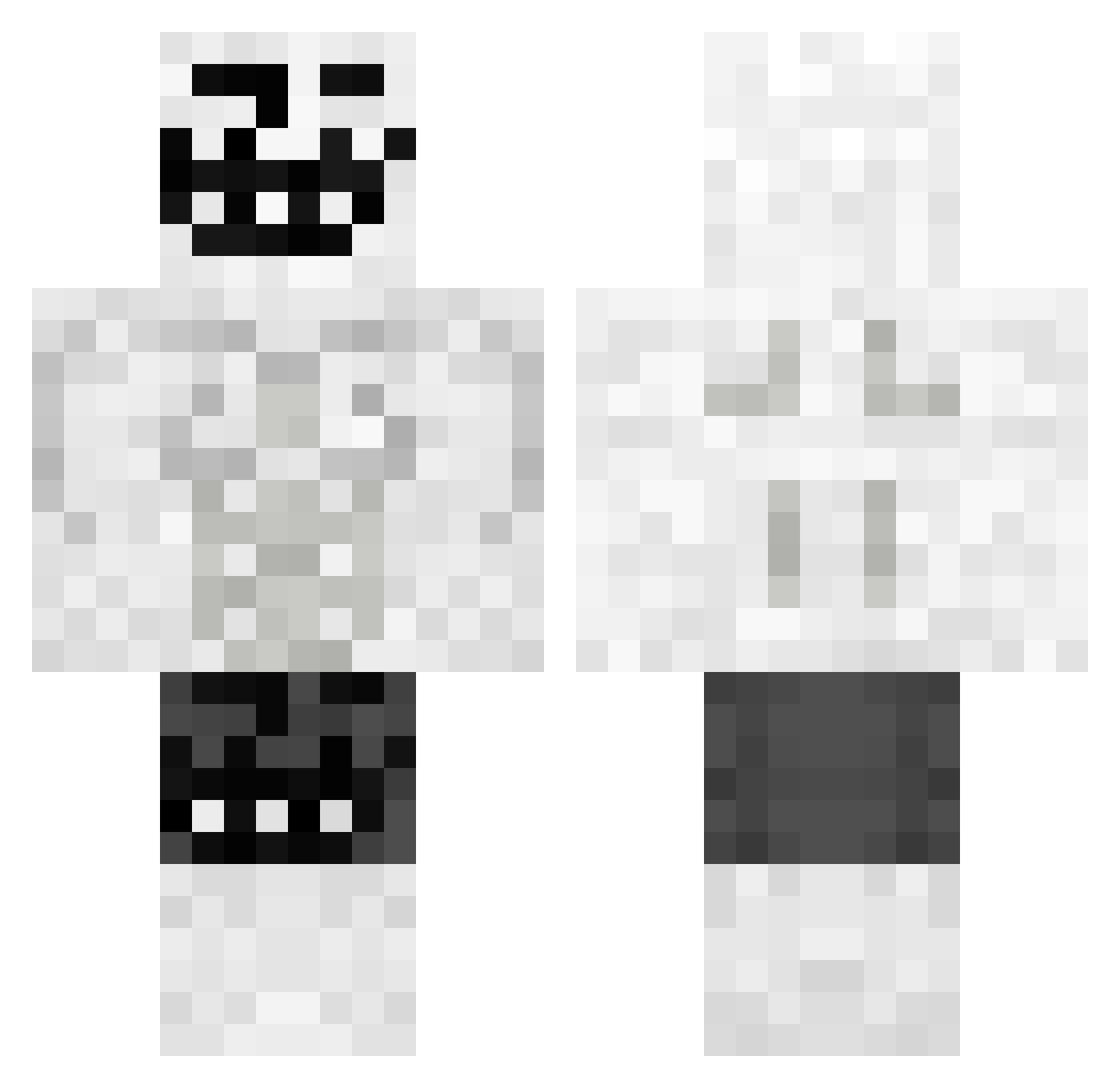 shepfly Minecraft skin, front and back view