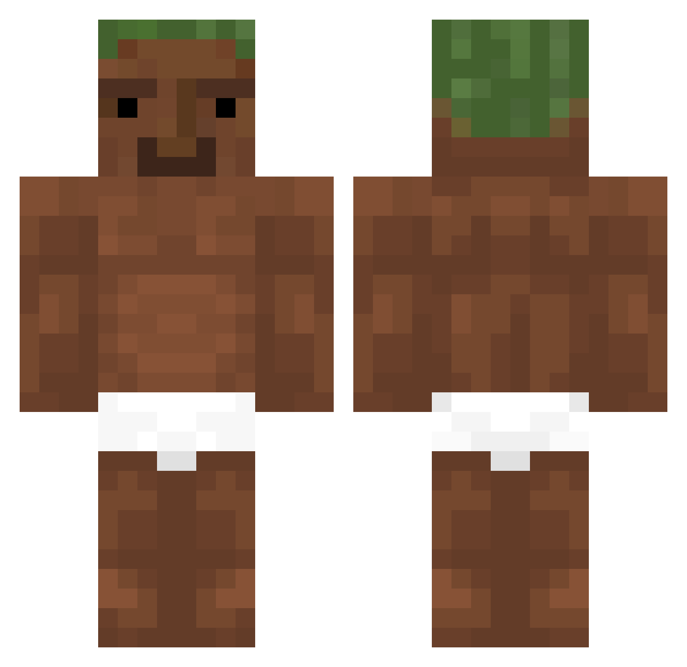 Poop_Pants456 Minecraft skin, front and back view
