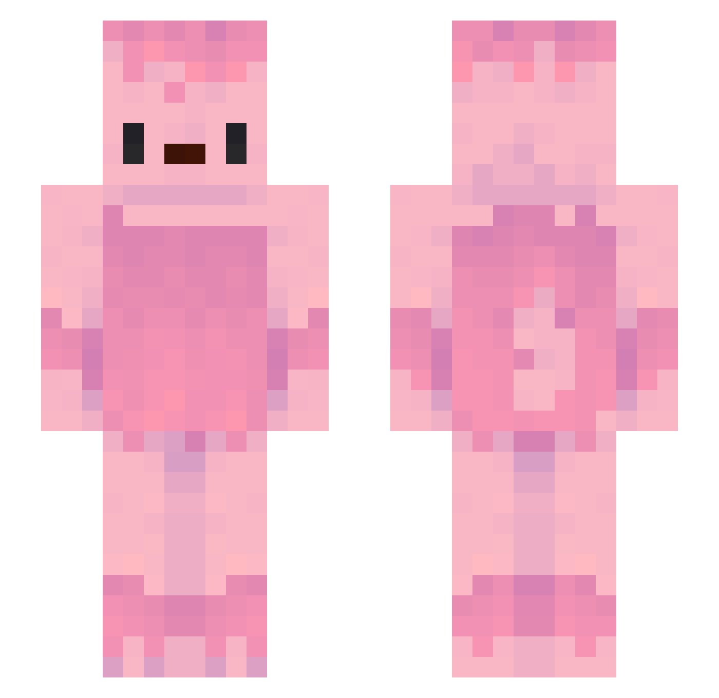 PoodleMaster69 Minecraft skin, front and back view