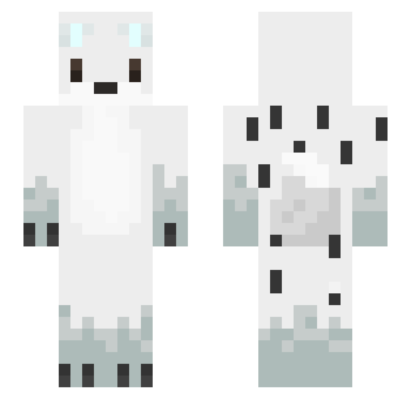 11iw Minecraft skin, front and back view