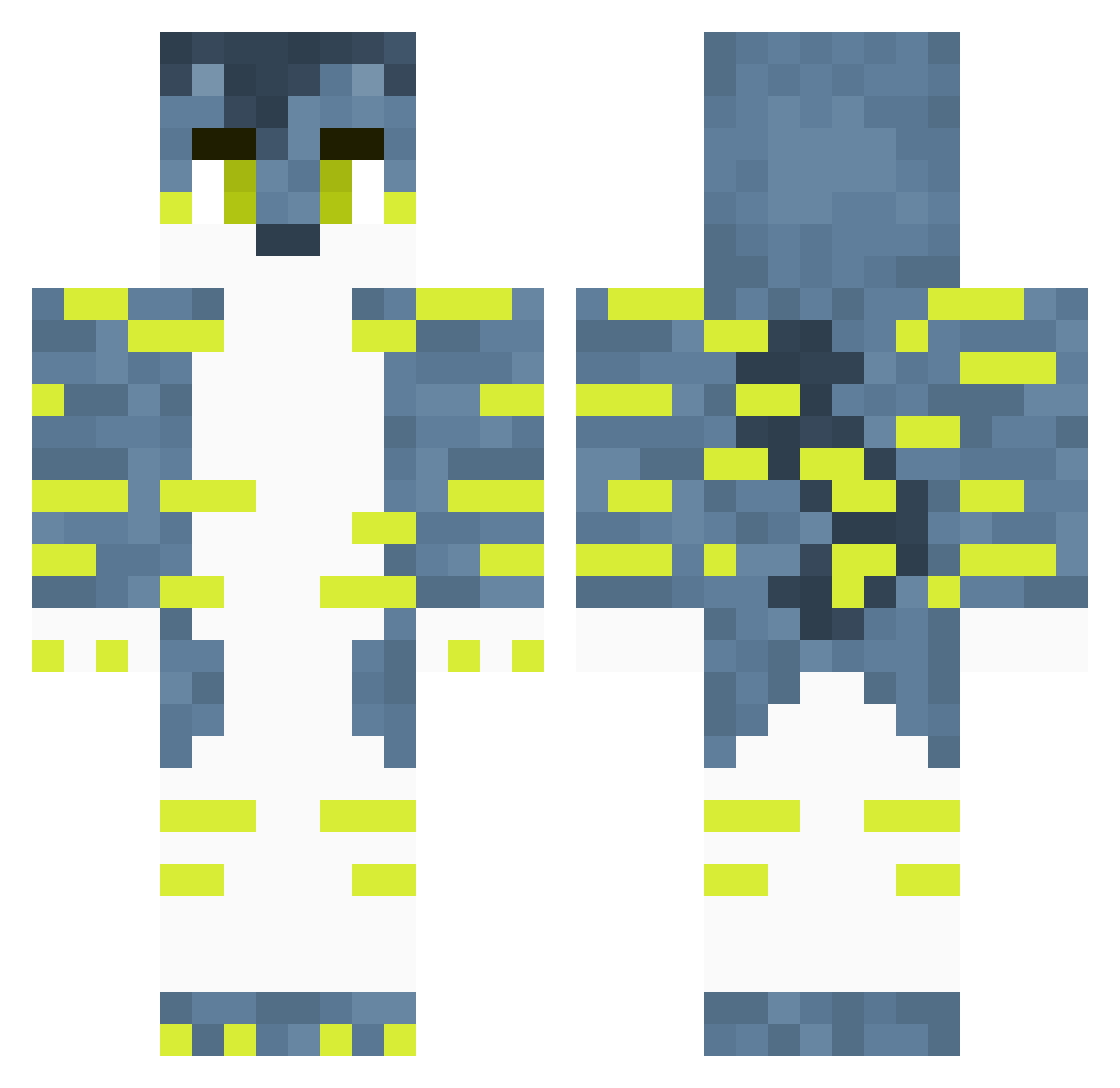 13electrode13 Minecraft skin, front and back view