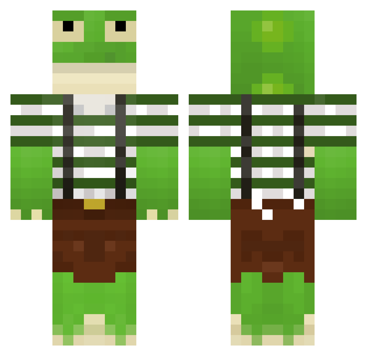 Standartflex Minecraft skin, front and back view
