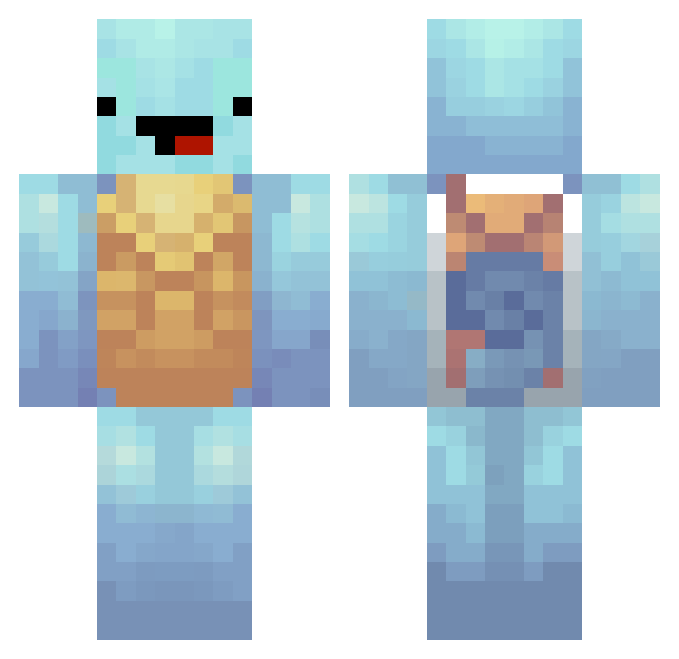 Epyk_Turtle Minecraft skin, front and back view