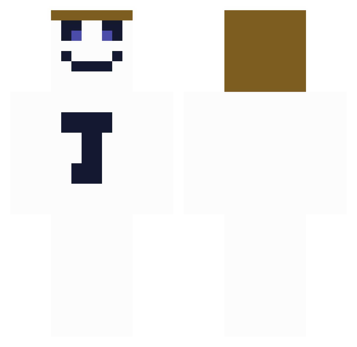 ToothlessPirate Minecraft skin, front and back view