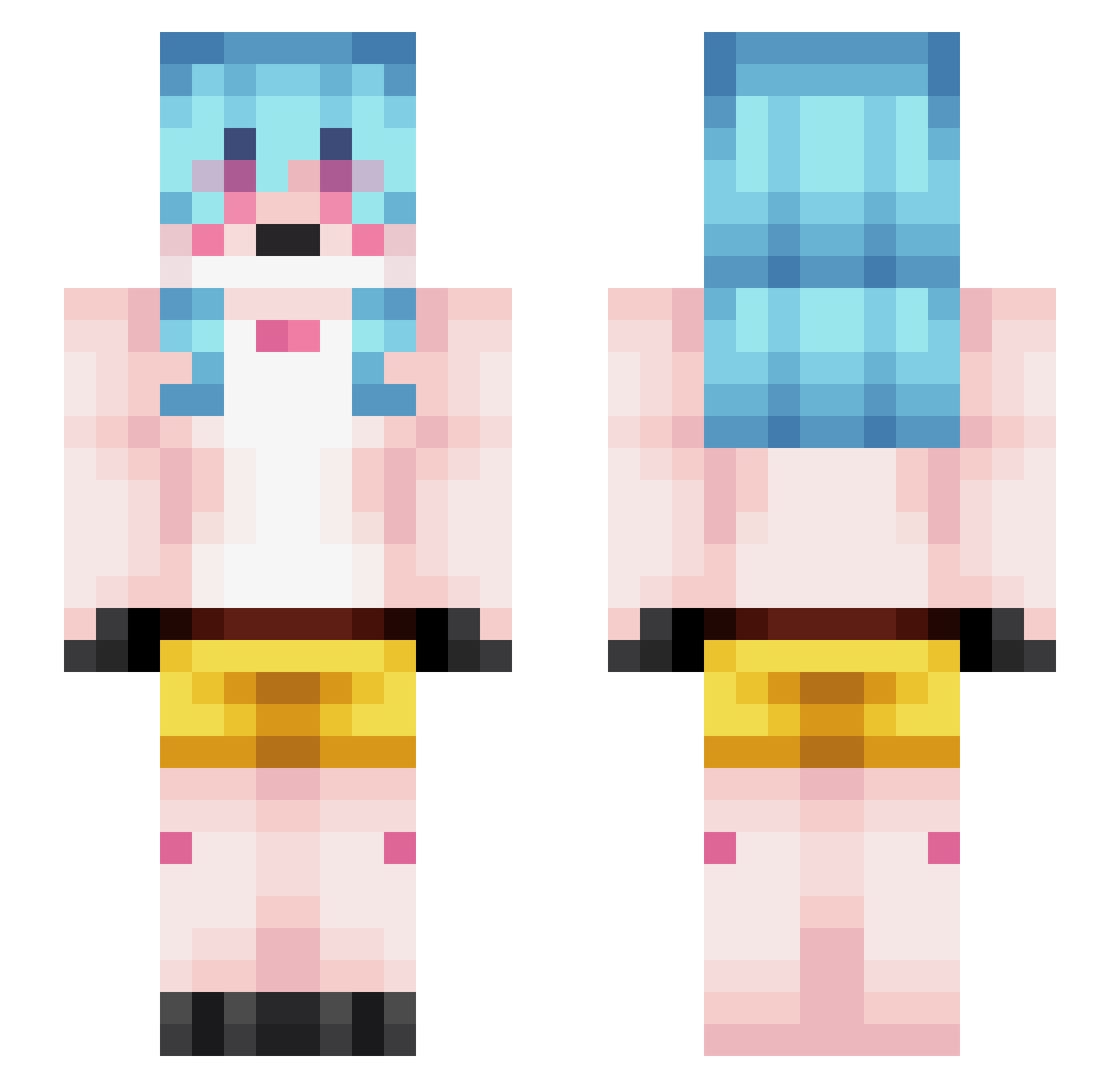 Nylect Minecraft skin, front and back view