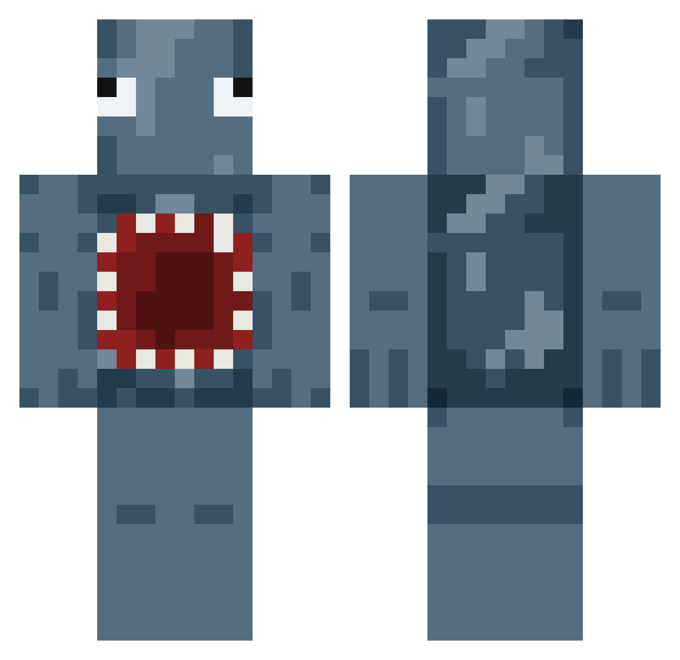 Tem_ Minecraft skin, front and back view