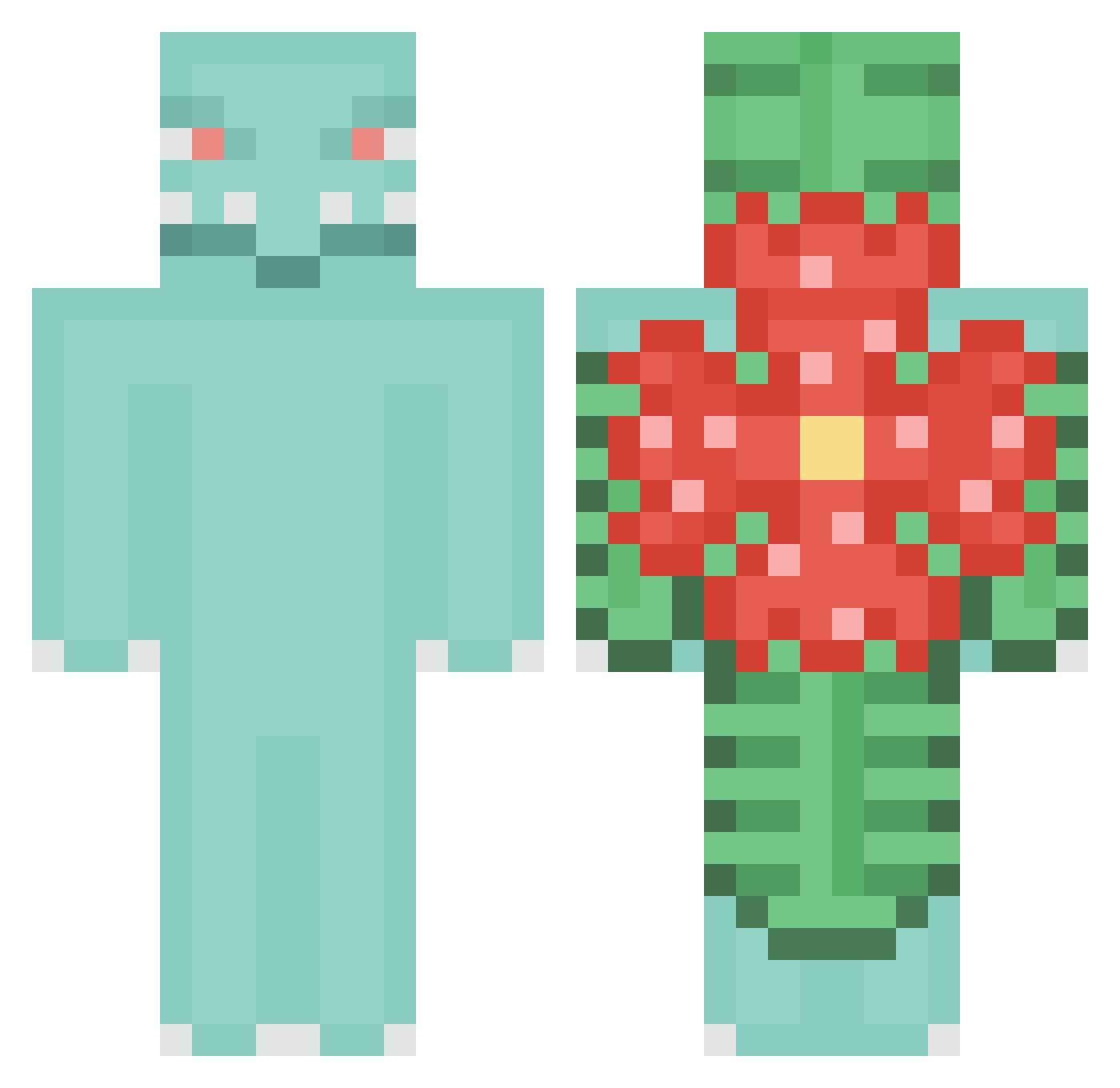 shipsallbradil Minecraft skin, front and back view