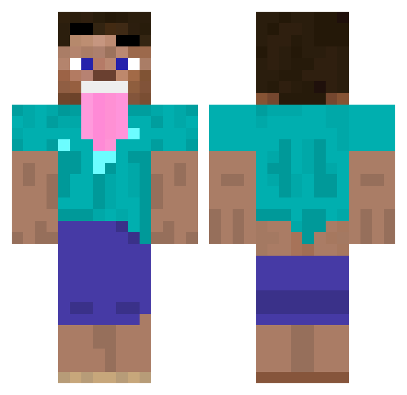 Fizidrone Minecraft skin, front and back view