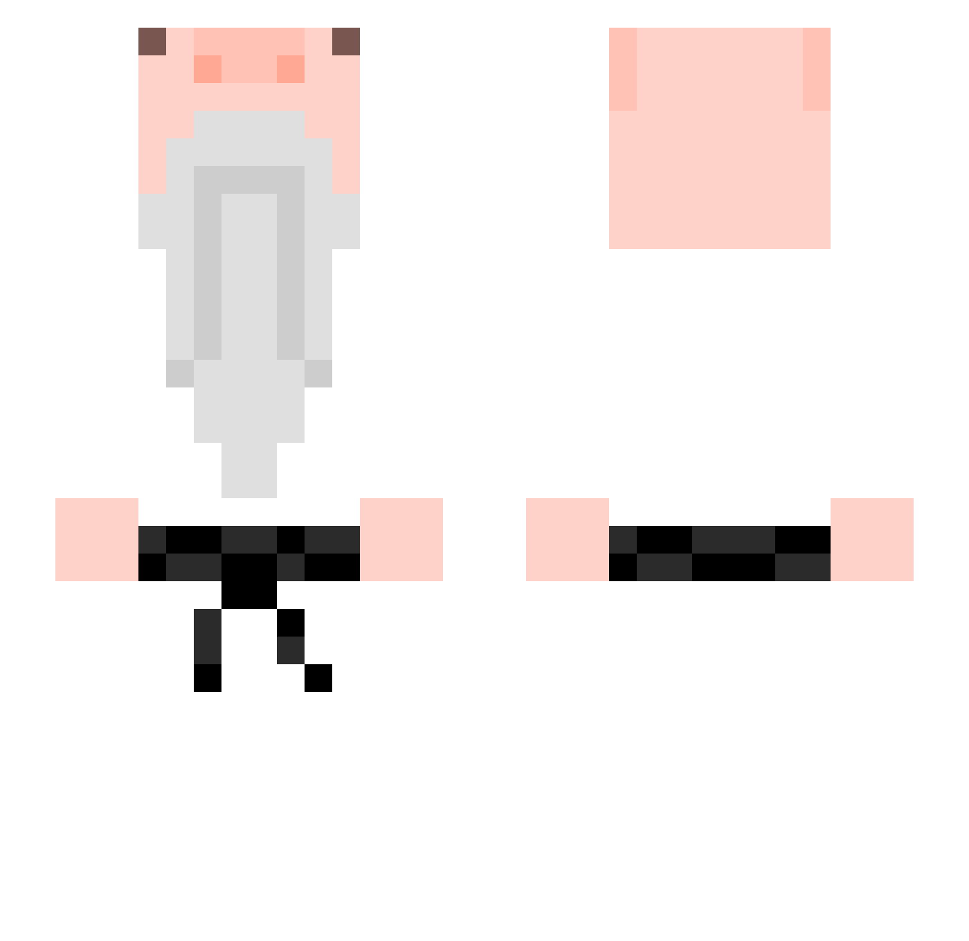 failedtrys Minecraft skin, front and back view