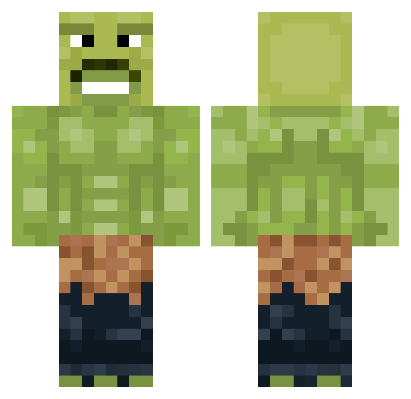 Shapenl Minecraft skin, front and back view