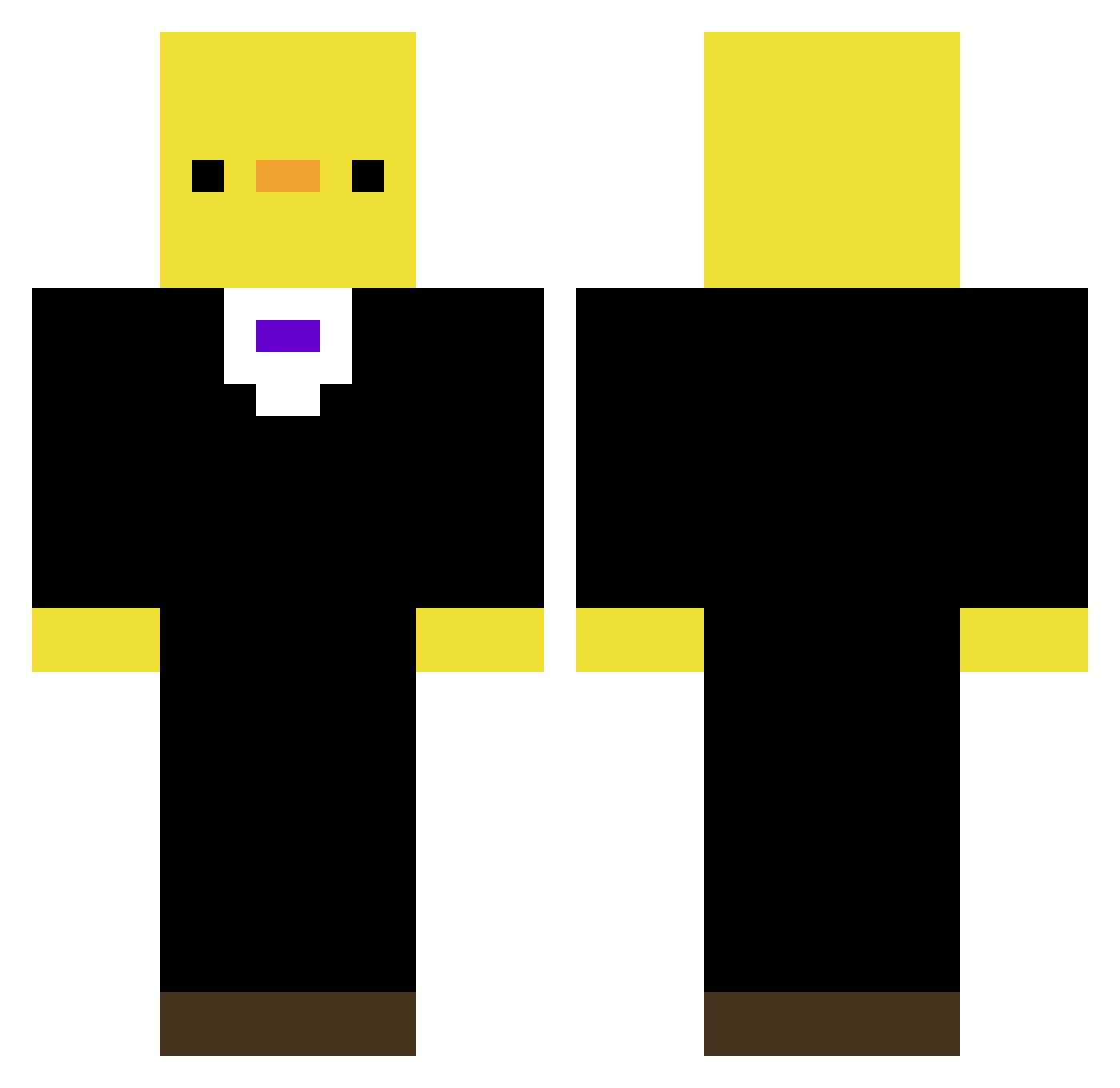 Wotoyt29 Minecraft skin, front and back view