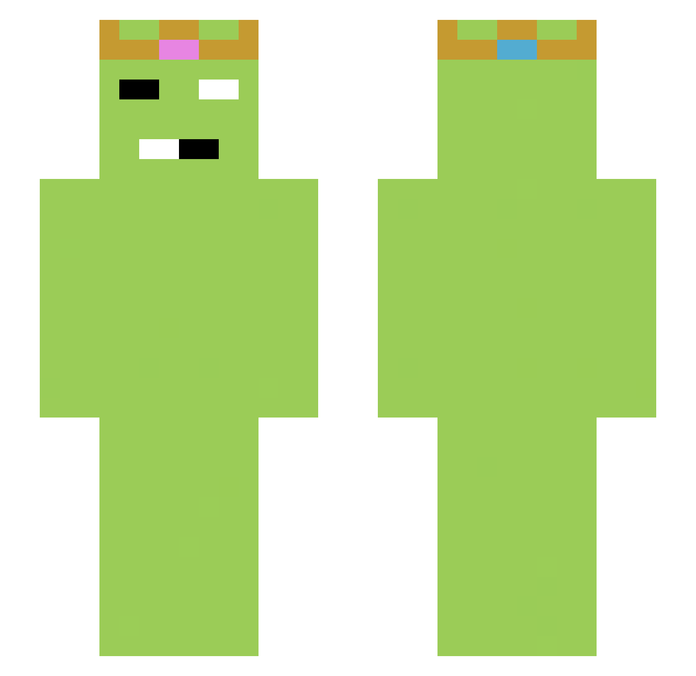 _Tzur Minecraft skin, front and back view