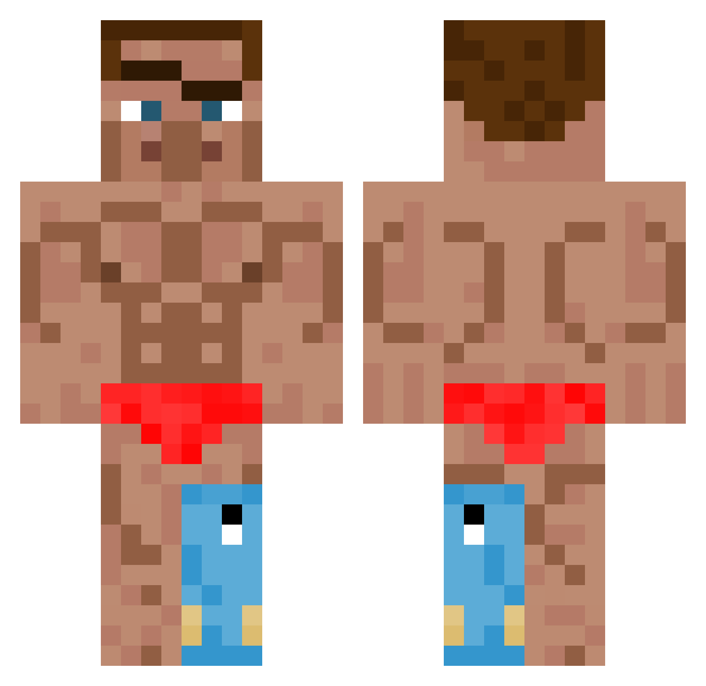 senne_cop Minecraft skin, front and back view