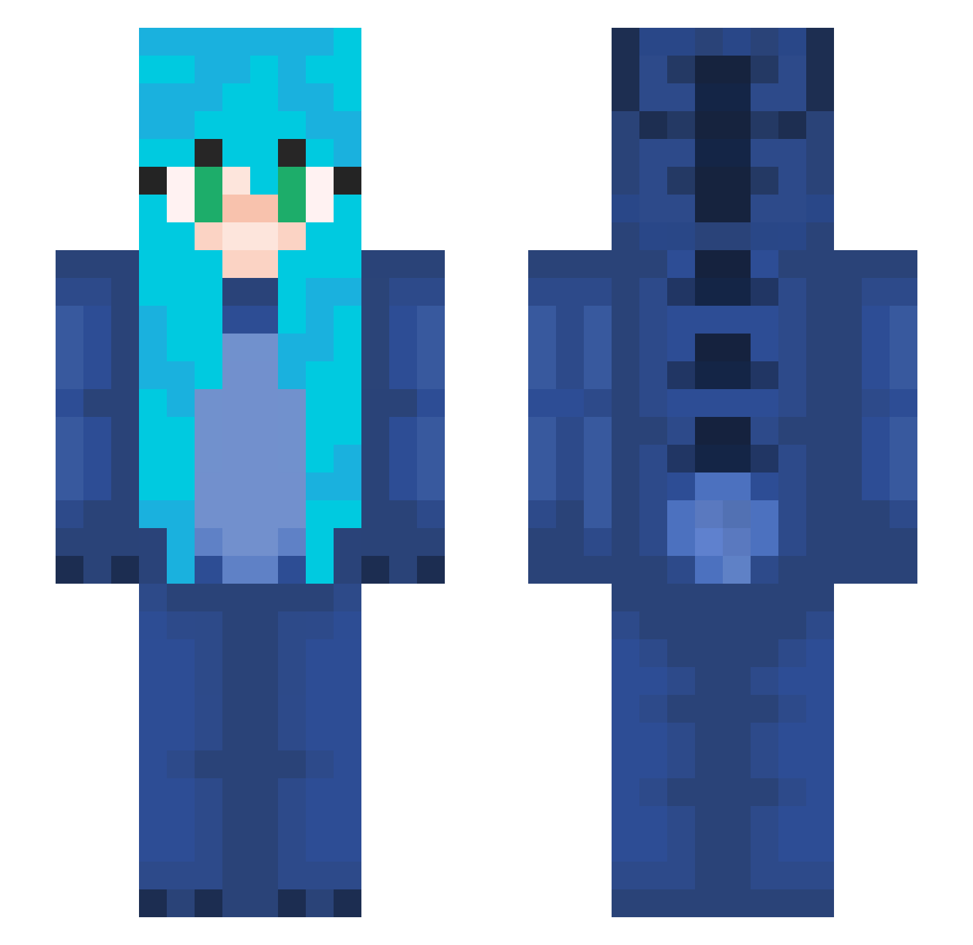 Tichyblazon Minecraft skin, front and back view
