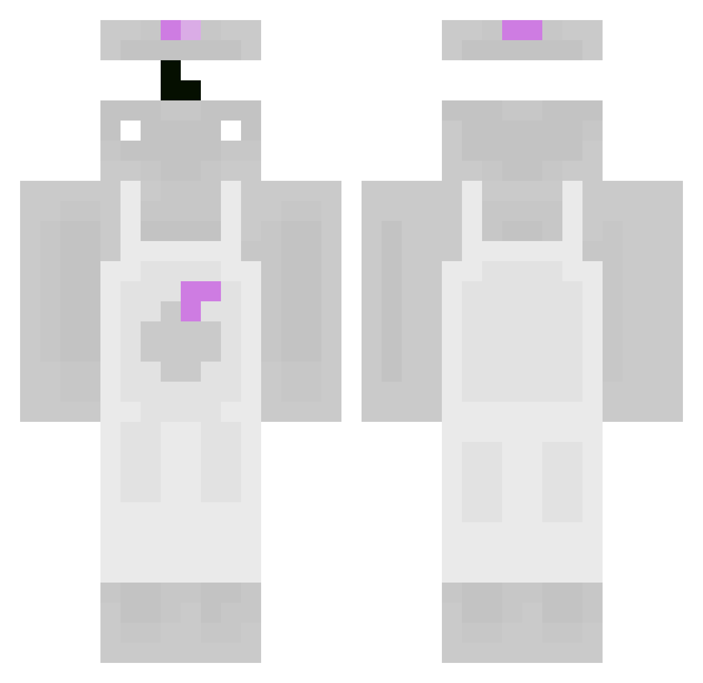 stayner Minecraft skin, front and back view