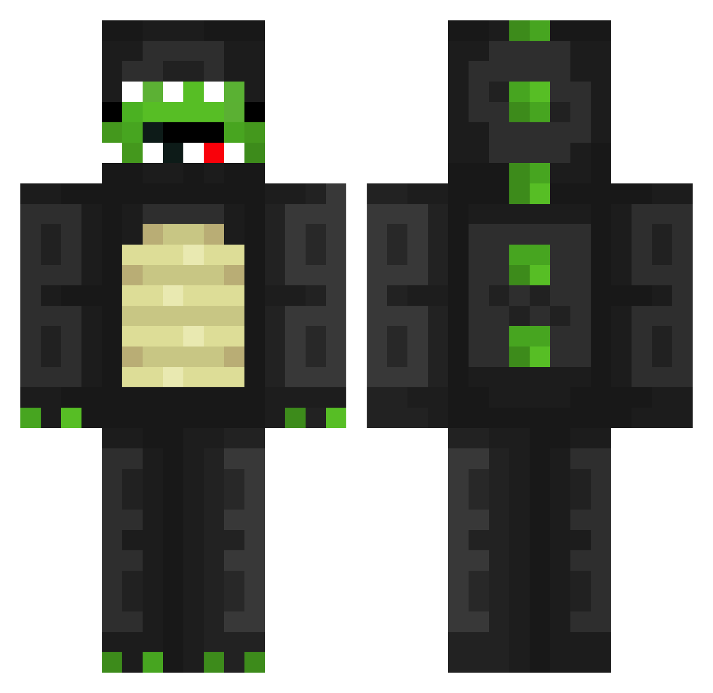 Schildi_05 Minecraft skin, front and back view