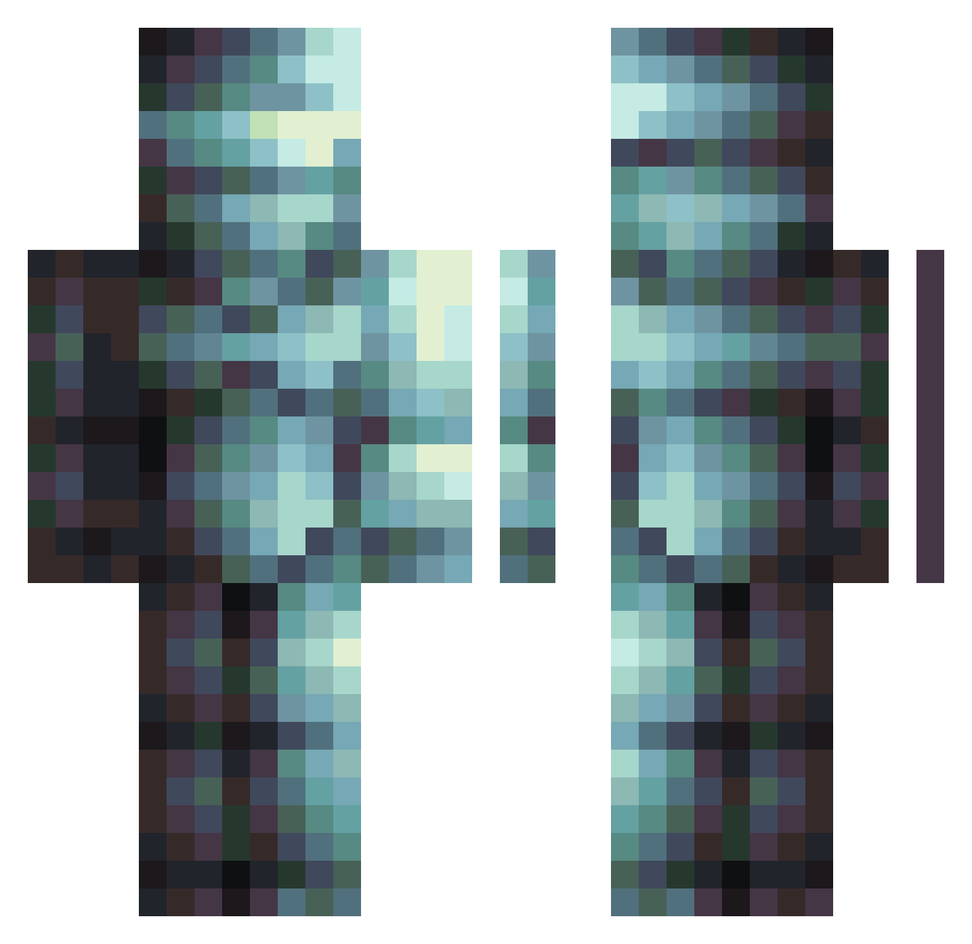 tyhf Minecraft skin, front and back view