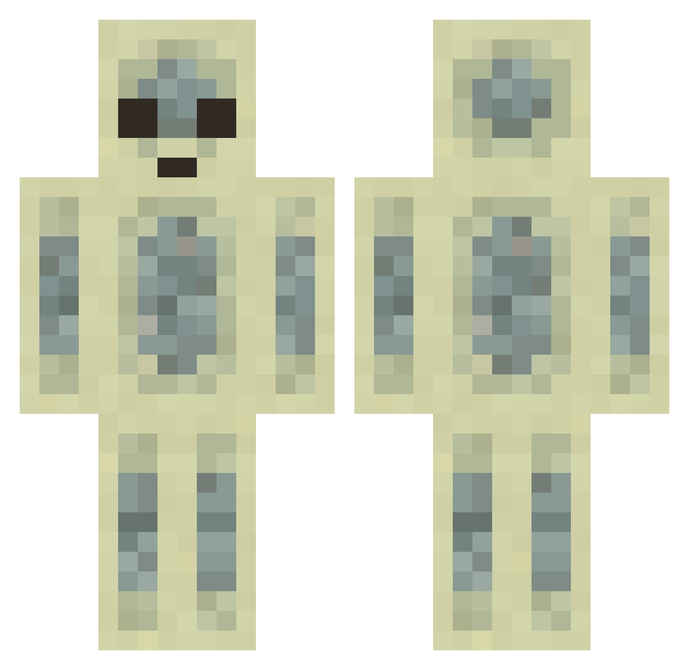 twoswans Minecraft skin, front and back view