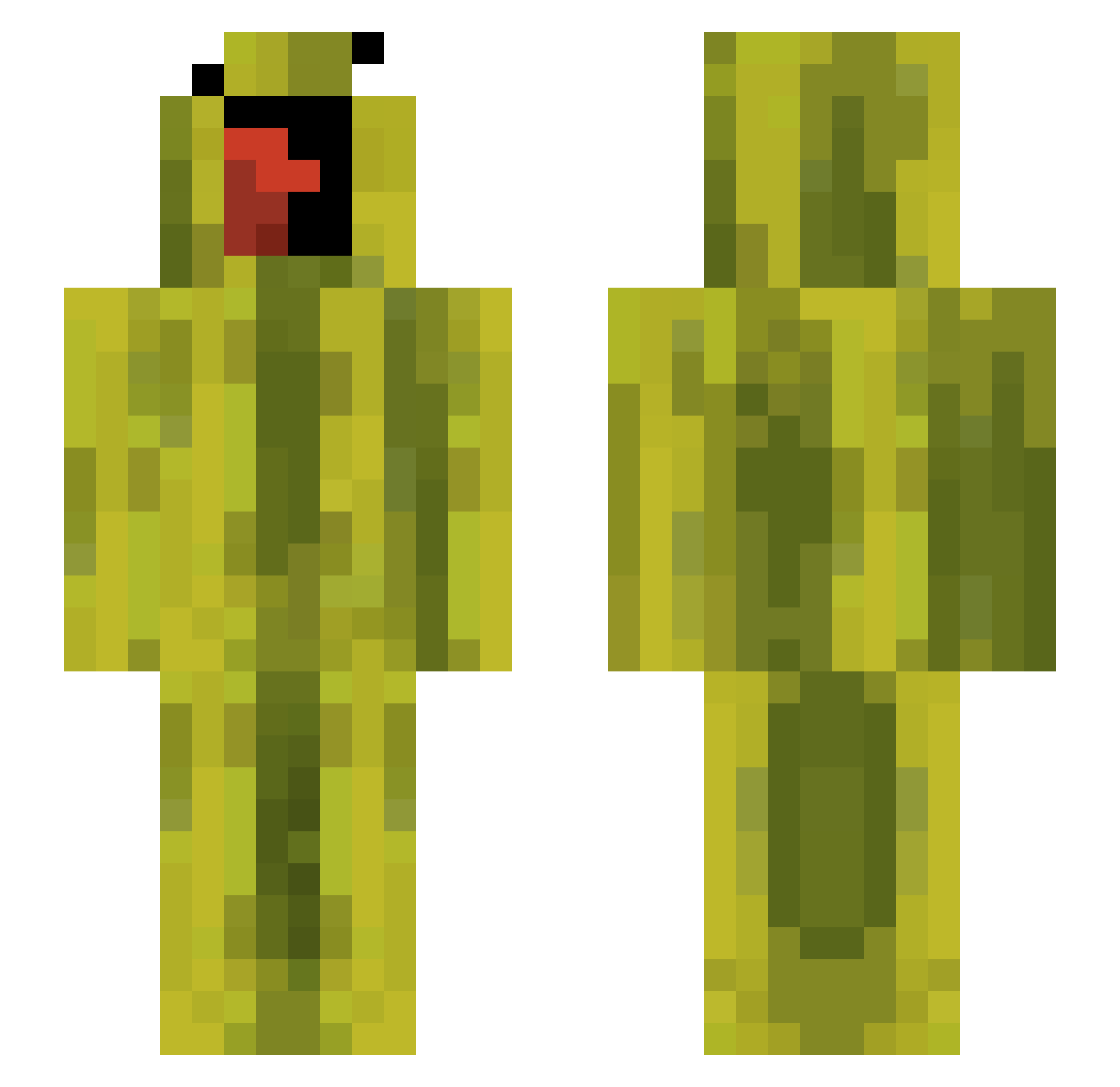 shayan120 Minecraft skin, front and back view