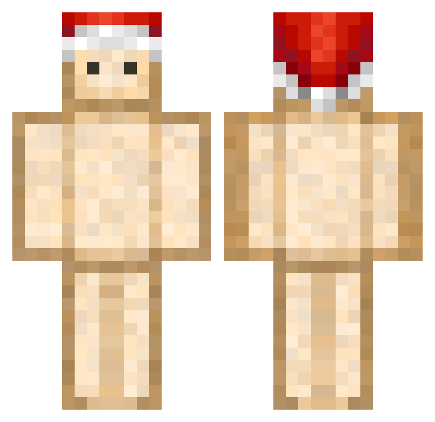 Toastu Minecraft skin, front and back view