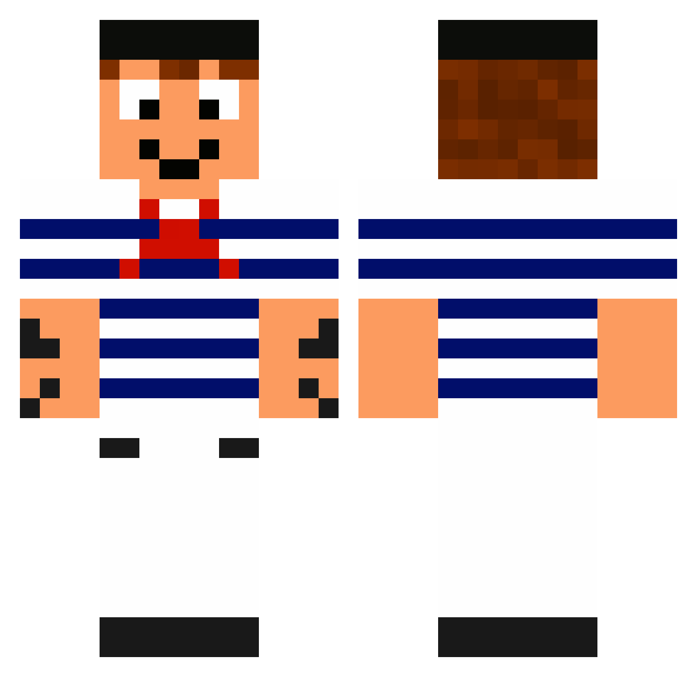 rorolacastagne Minecraft skin, front and back view