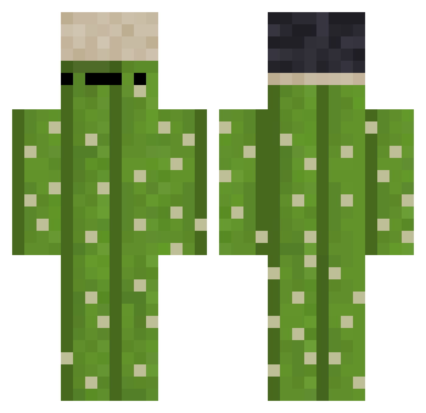 zrx_zeirox Minecraft skin, front and back view