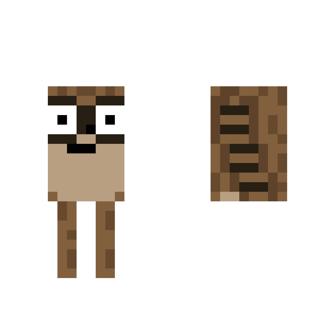 ARandomGuyTH Minecraft skin, front and back view