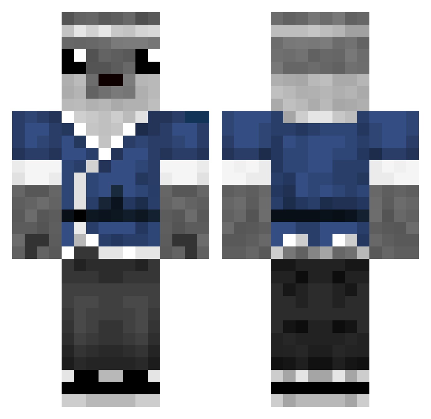 SEALWHO Minecraft skin, front and back view