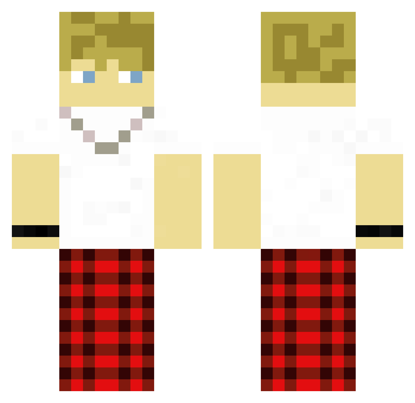 Bird2026ILS Minecraft skin, front and back view