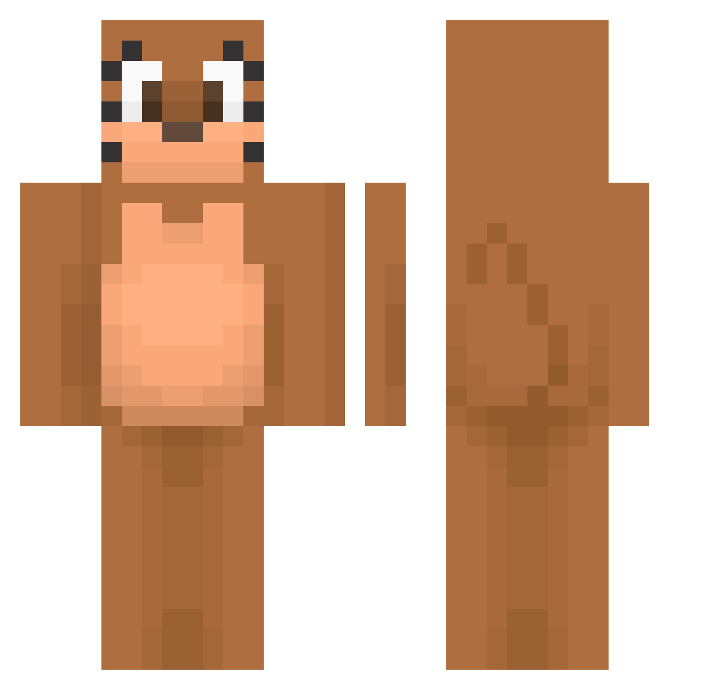 Tc_Coco Minecraft skin, front and back view
