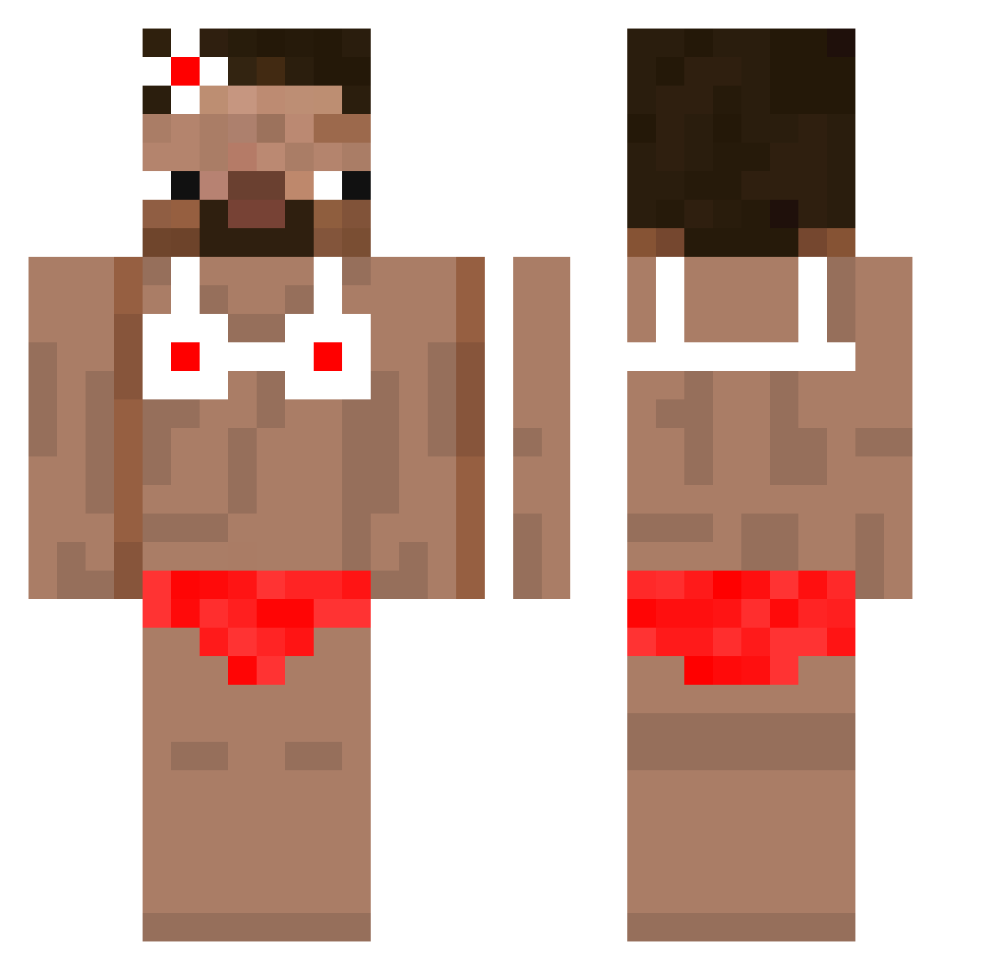 XFinBear Minecraft skin, front and back view