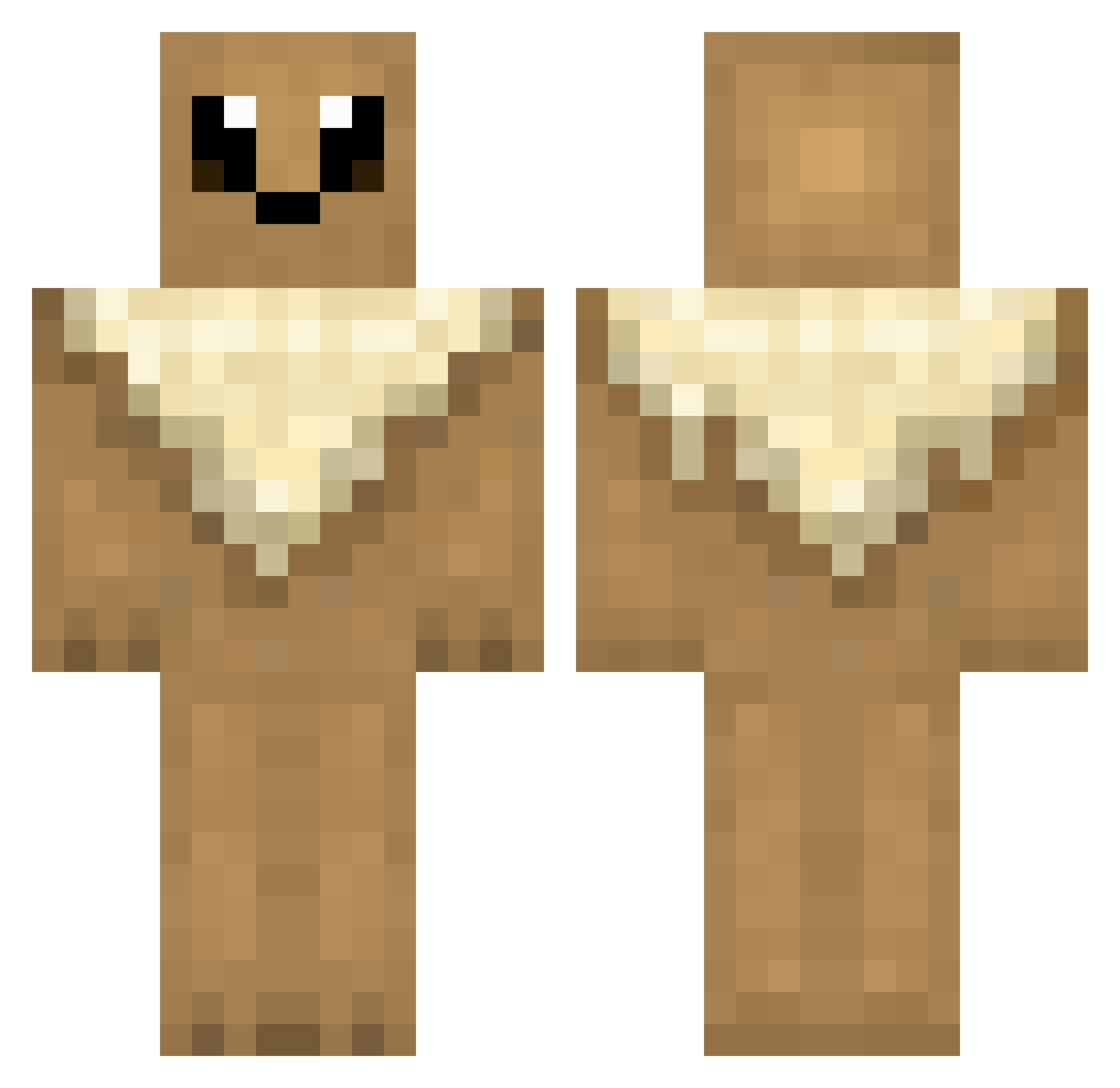Rto520 Minecraft skin, front and back view