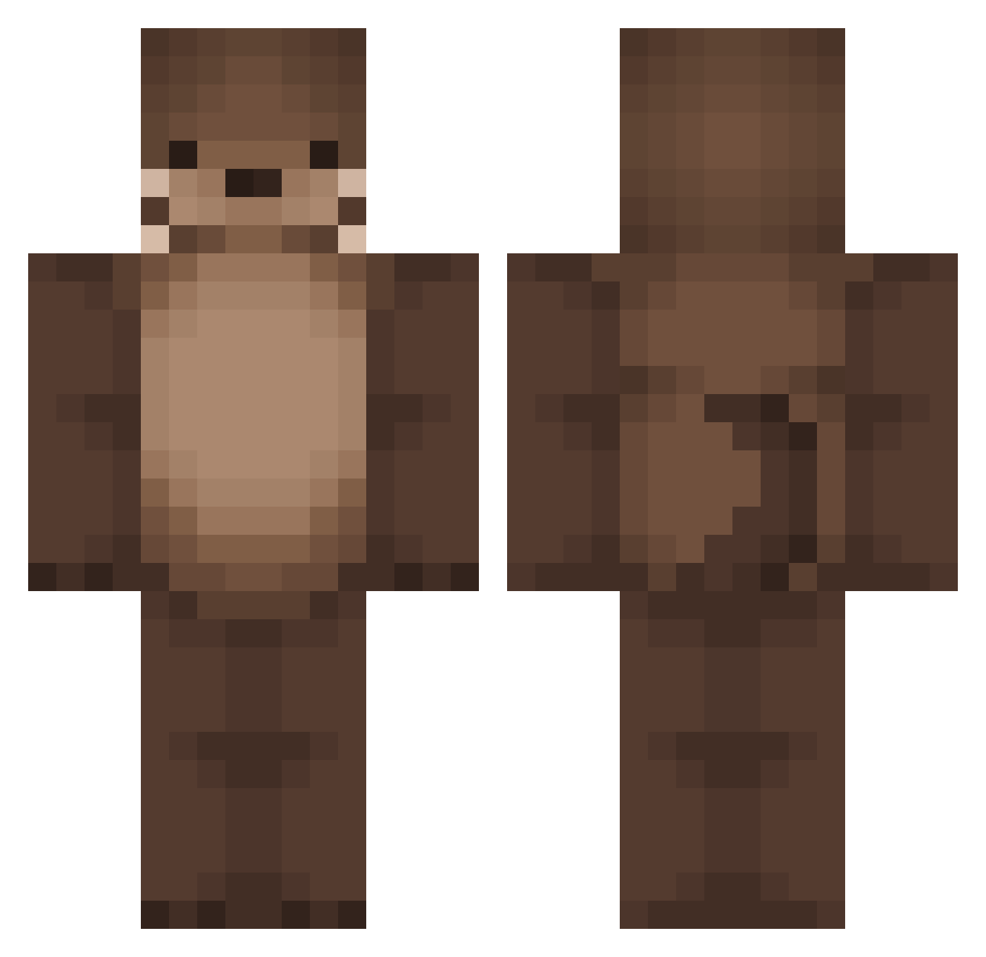 aggug Minecraft skin, front and back view