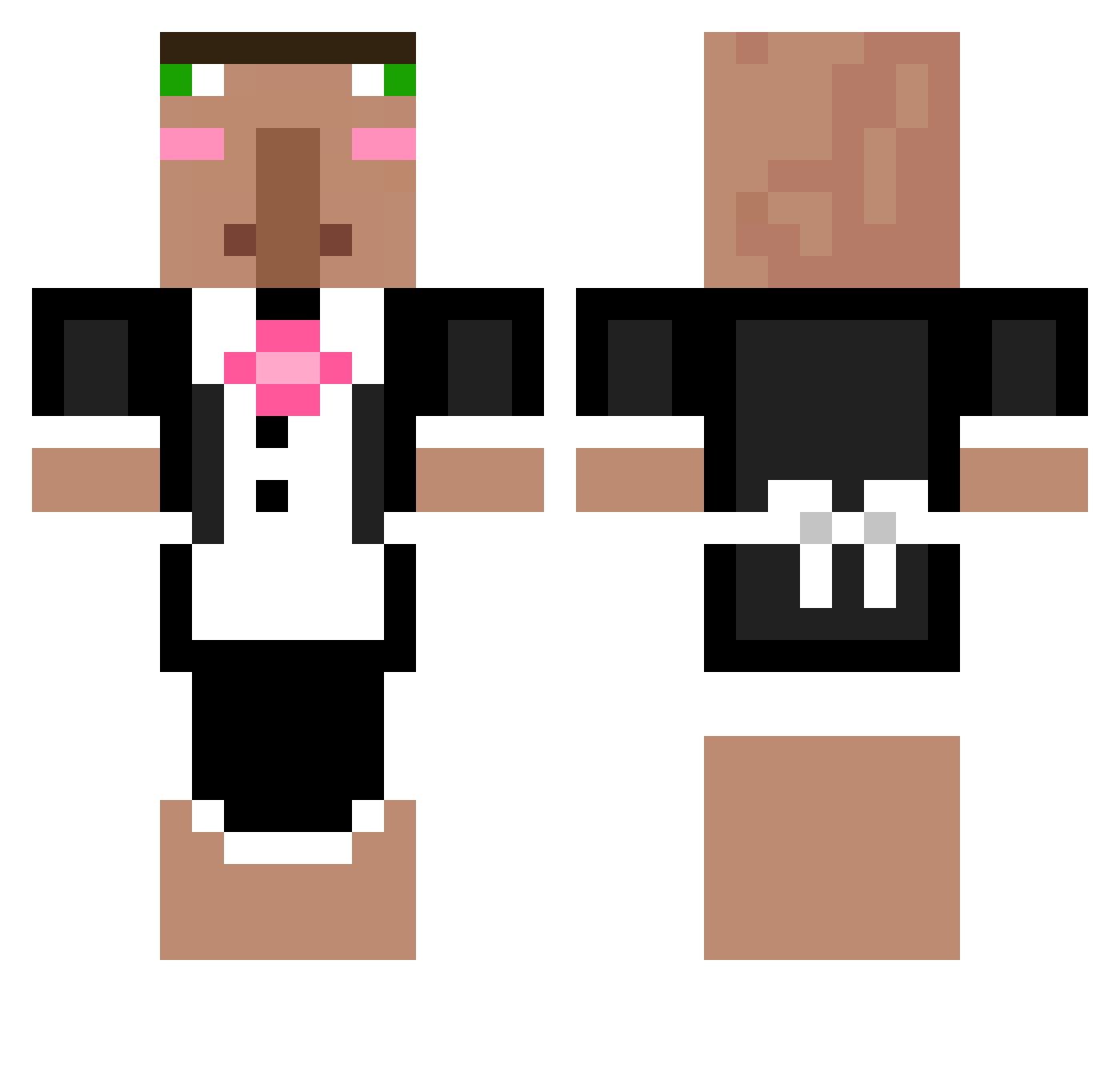 unicornlover396 Minecraft skin, front and back view