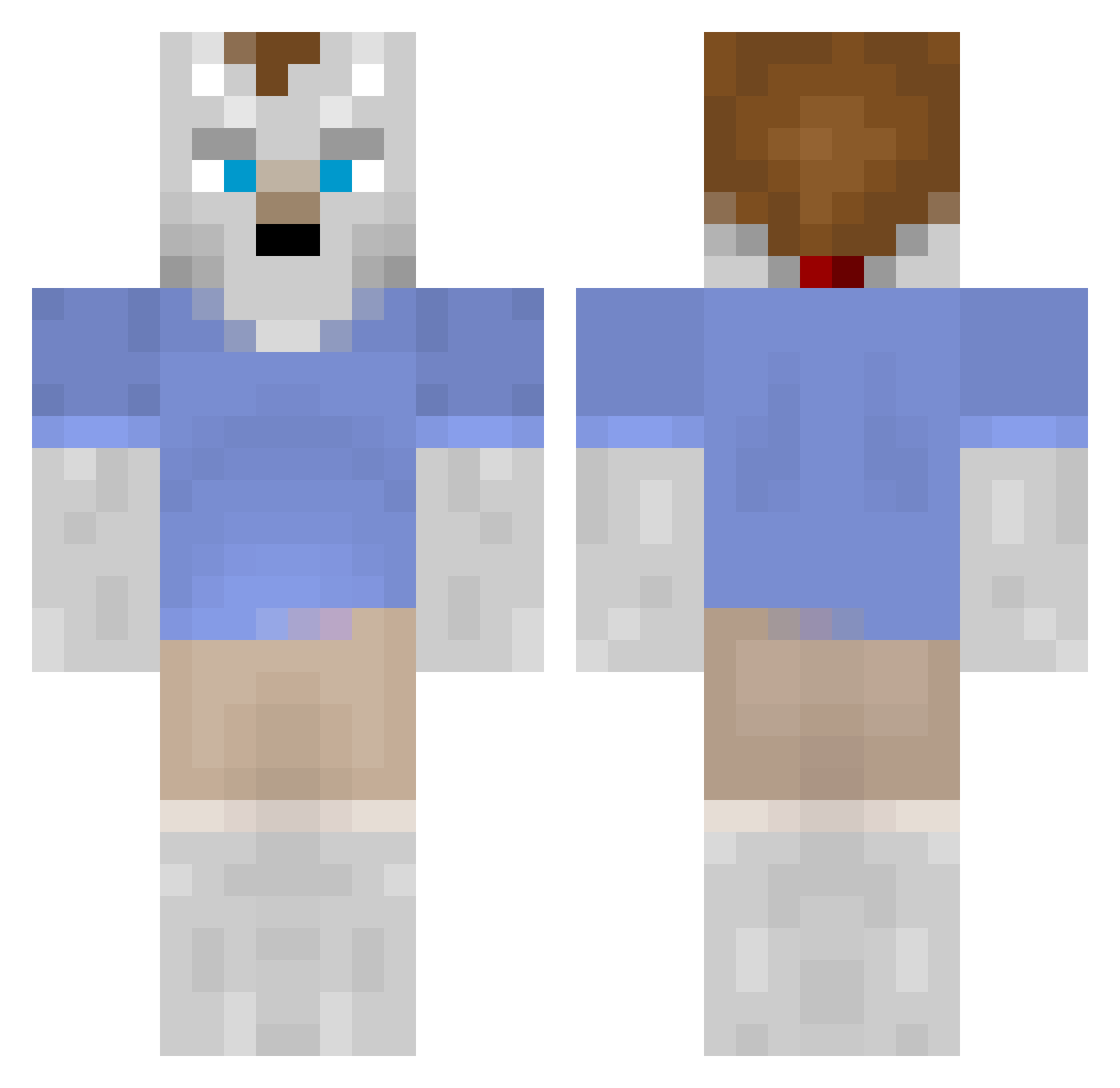 SilverTail Minecraft skin, front and back view