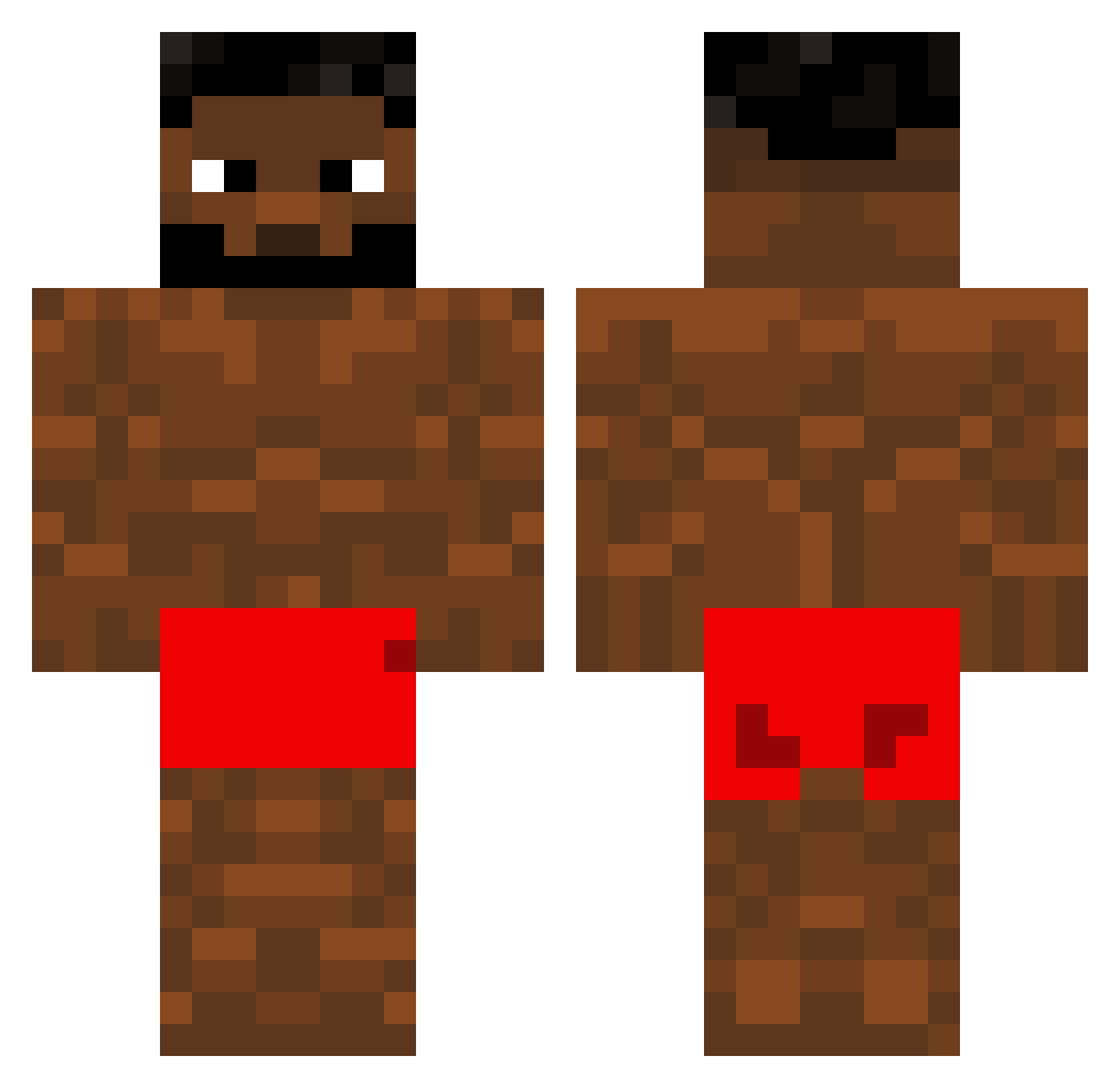 raidurr Minecraft skin, front and back view