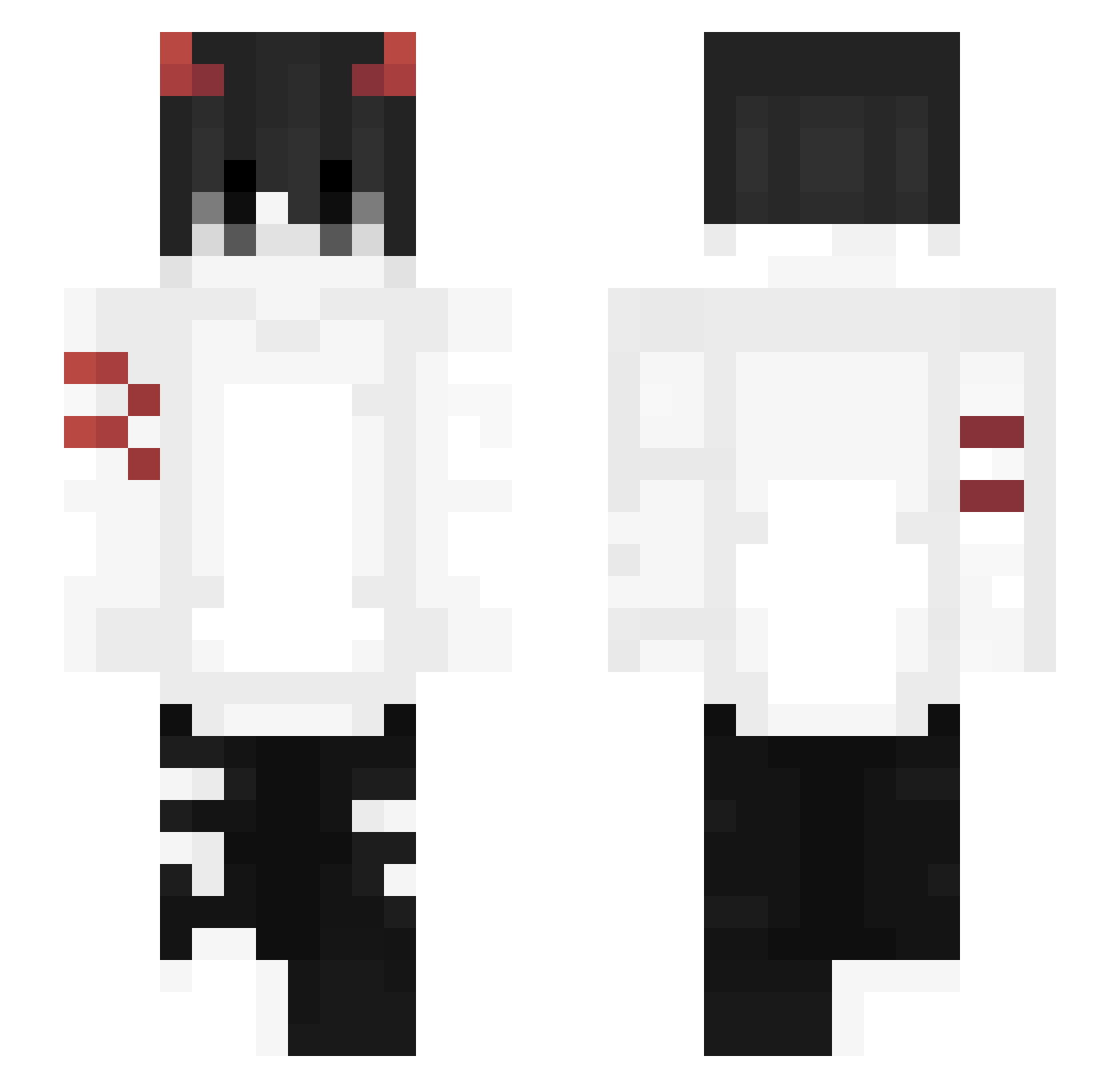 Tydanz Minecraft skin, front and back view