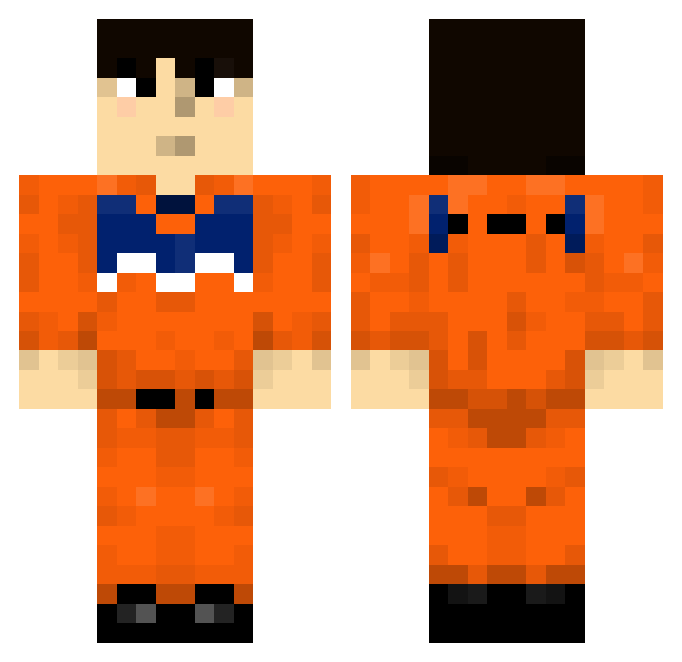 poaceae Minecraft skin, front and back view
