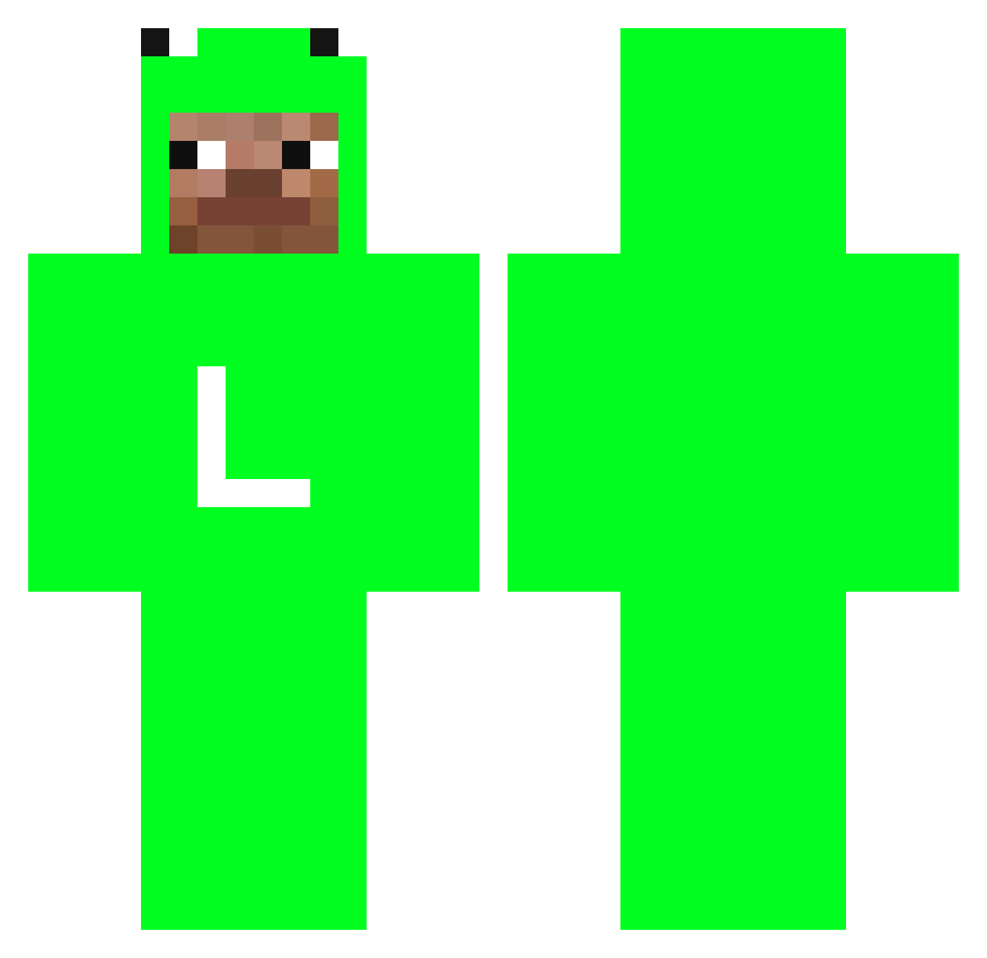 Fards Minecraft skin, front and back view