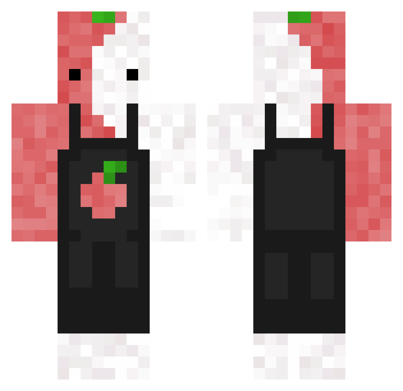 Litschibauer Minecraft skin, front and back view