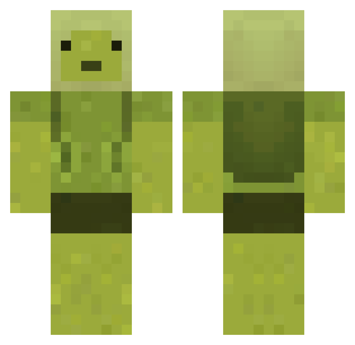 SoAppalled Minecraft skin, front and back view