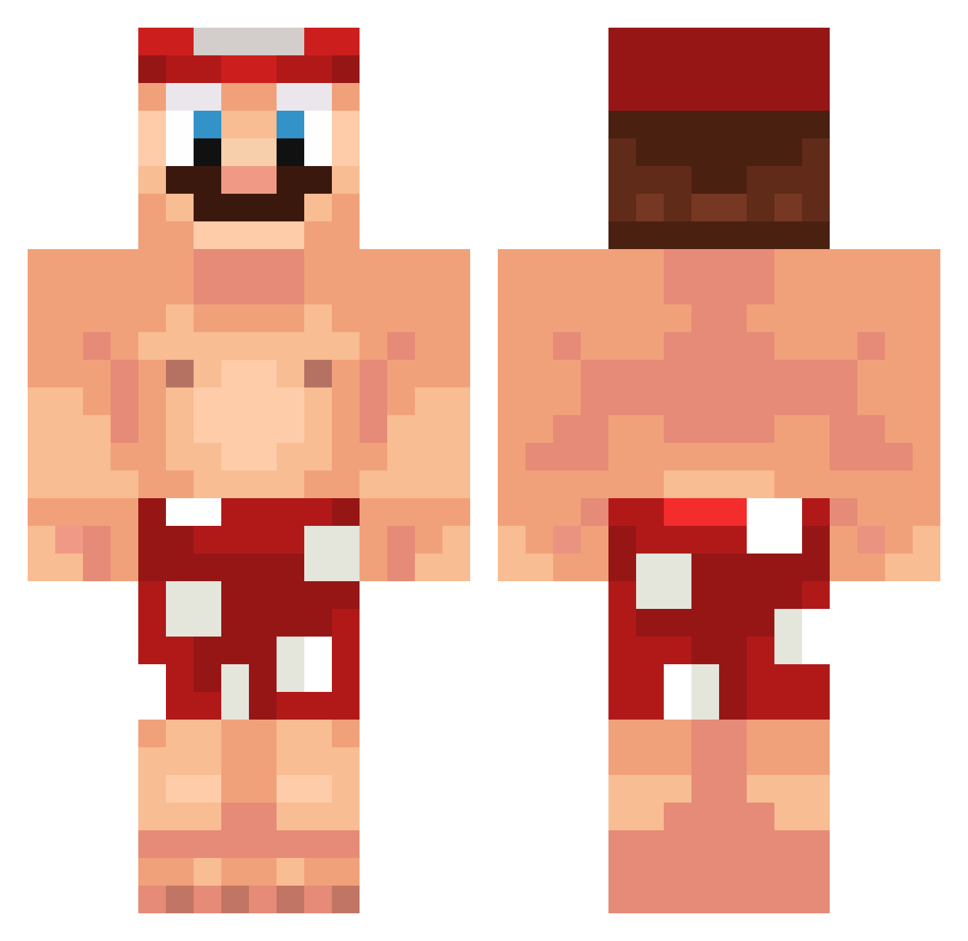 TurtlishColin Minecraft skin, front and back view