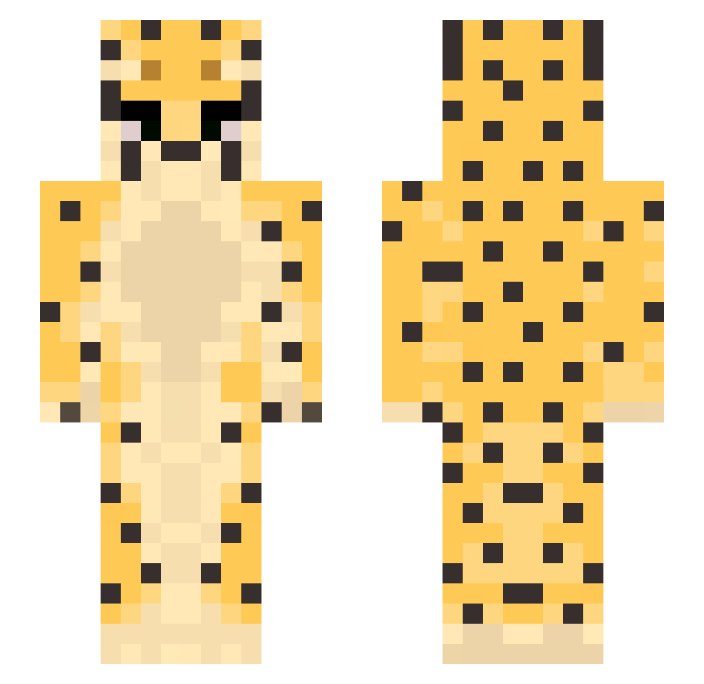 ilxwh0 Minecraft skin, front and back view