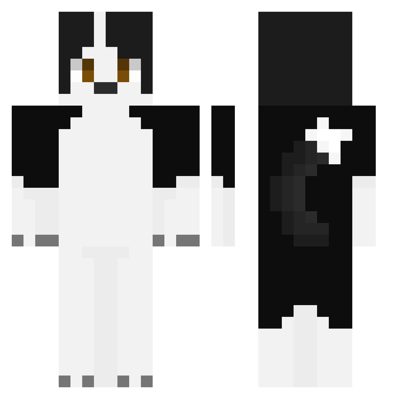Sundawgo Minecraft skin, front and back view