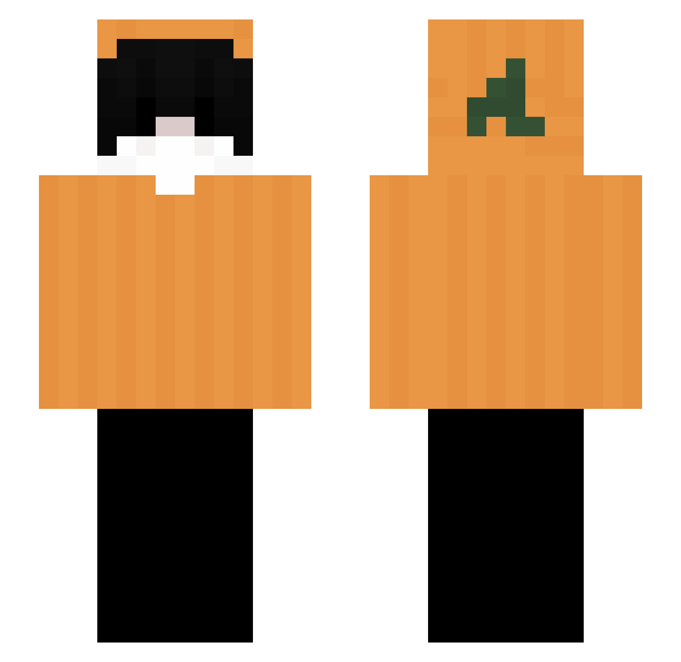 viushi Minecraft skin, front and back view