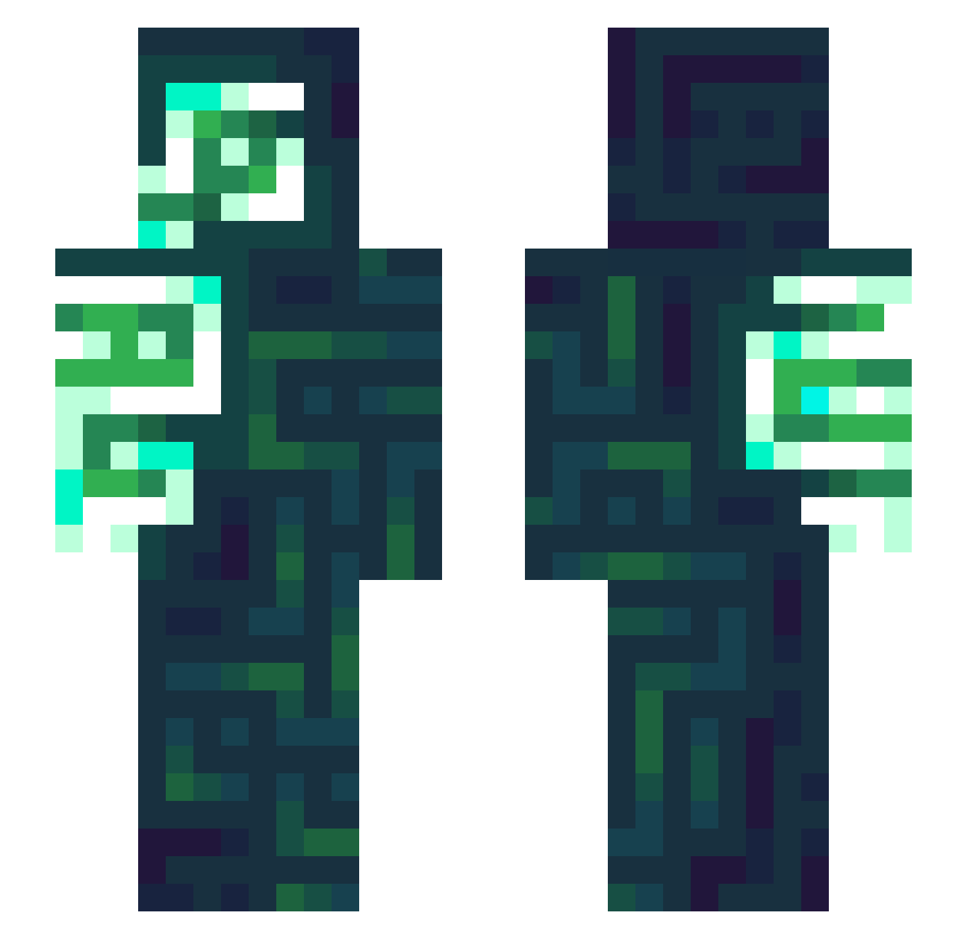 WildWarlock Minecraft skin, front and back view