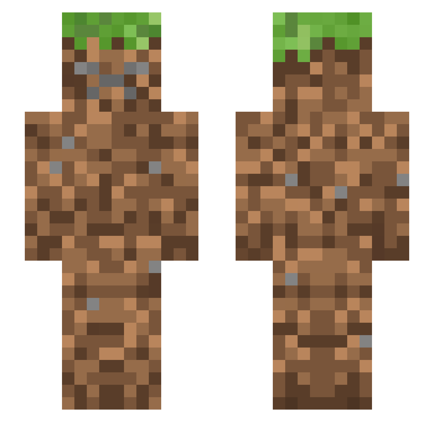 S6_1 Minecraft skin, front and back view
