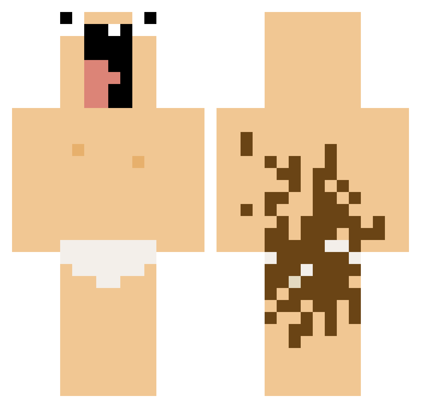 Silexar Minecraft skin, front and back view