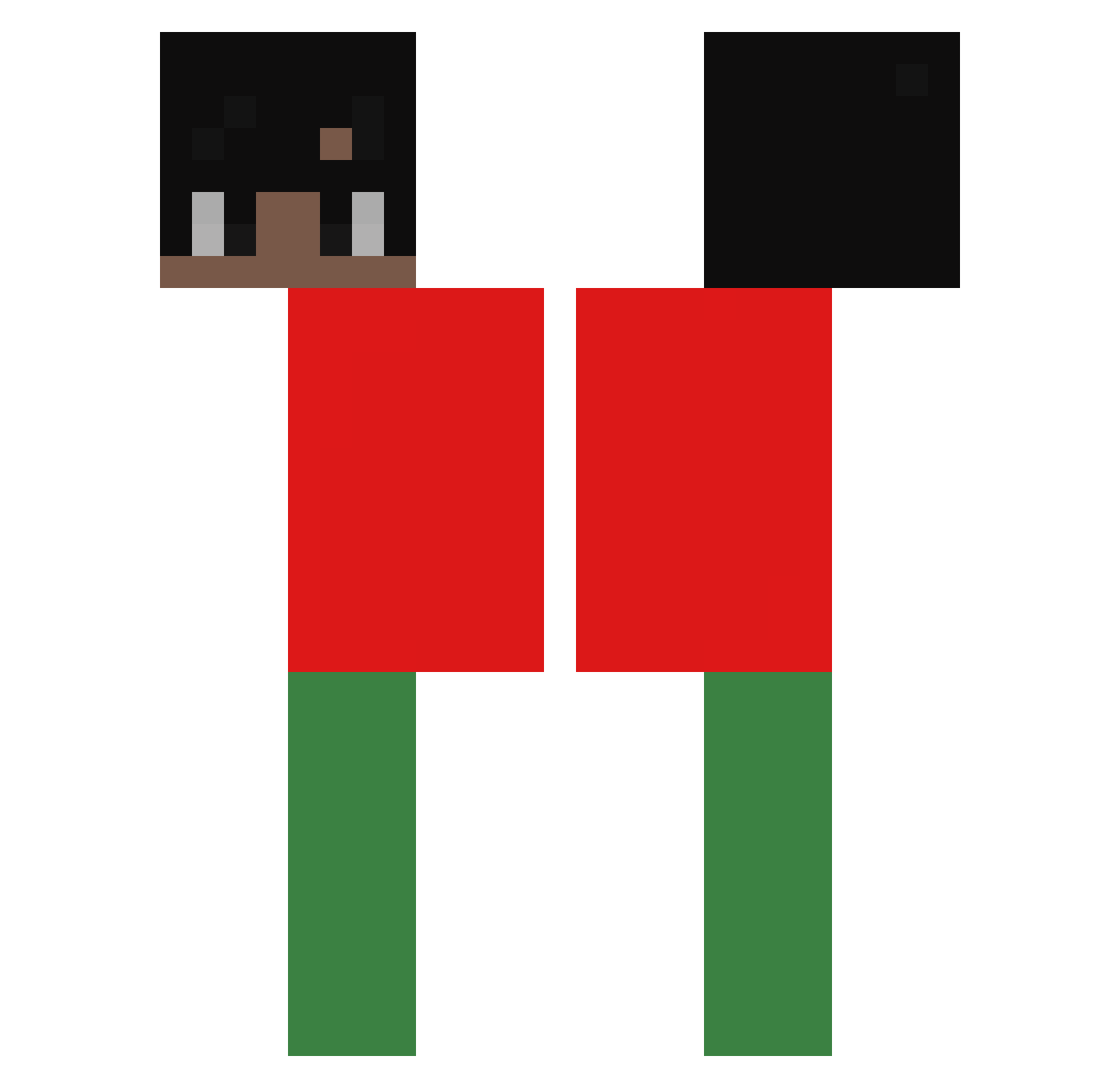 shocobon11 Minecraft skin, front and back view